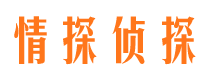 安次侦探公司